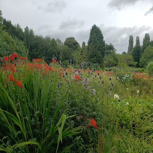 Pype Hayes Park