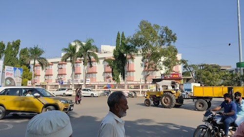 Hotel Neelam Palace