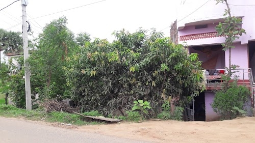 Kaila Bigha