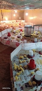 Gujjar poultry form