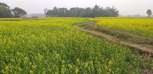 Netrakhanda