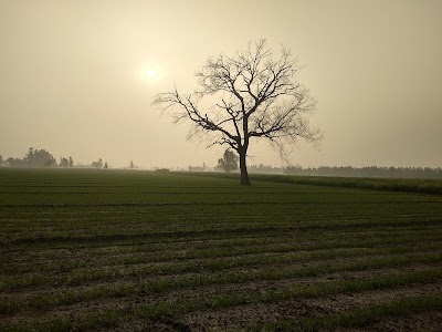 Vastav farm