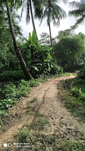 Kaurda