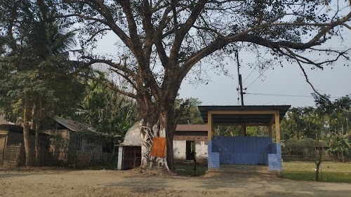 Sarthebari Town