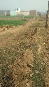 Gangoli