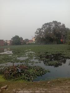 Jhunsi Pond