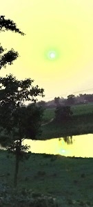 Dhachna