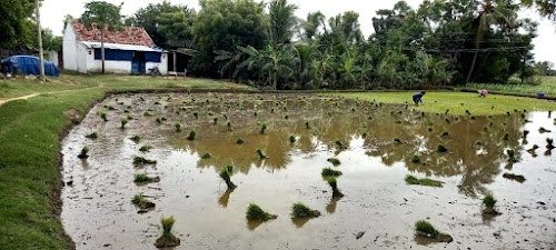 Ramesh House