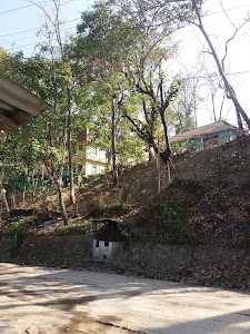 Govt. Sr. Sec. School, Tharpu