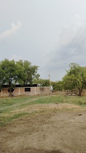 पाटीदार विवाह समिति गुलाना