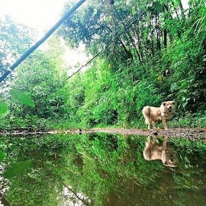 Samdong