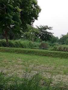 Fursatganj Airfield