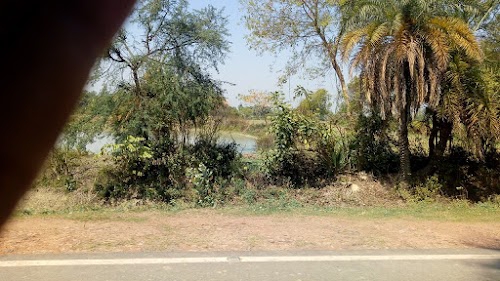 Horhorre Fild Bus Stop