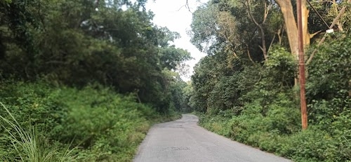 Bail Parao