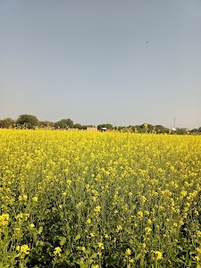 Burawai