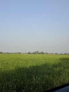 Dahiyawan