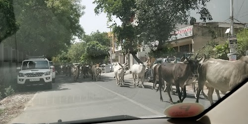 Ambrahi Village, Sector 19 Dwarka, Dwarka