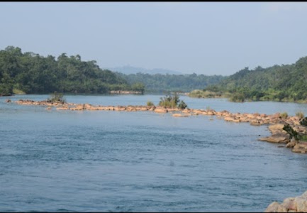 KOKA Picnic Spot