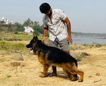 Ranjhi