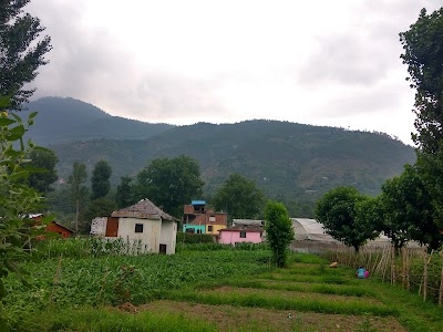 Nagwain