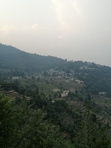 Jakholi