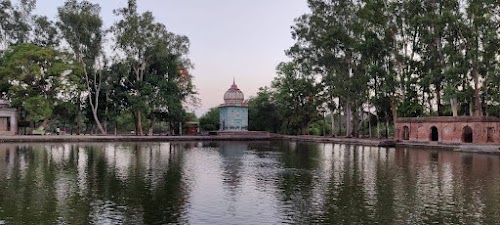Maharishi Mangalgiri Aashram