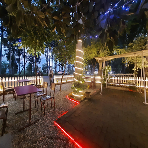 cafe forest