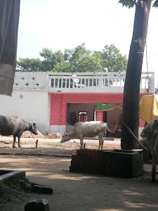 Ravi Pathak House