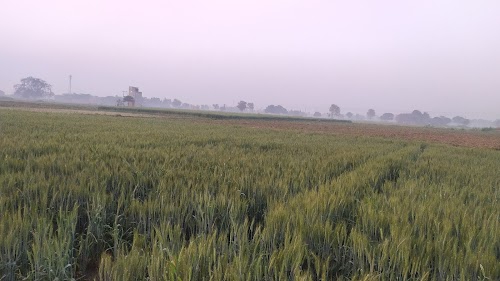 Tameri