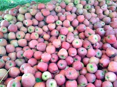 Joo Fruit Company
