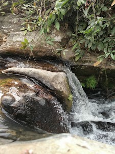 Kaandrang Picnic Spot