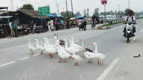Fakharpur