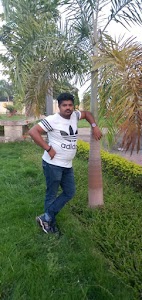 Chhibaura