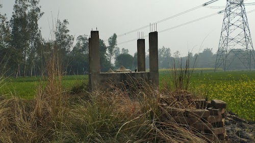 समो माई