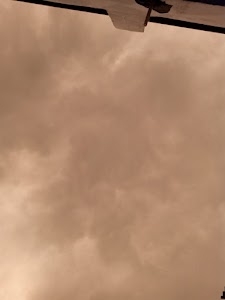 Dhani-Sapla Wali Udawala