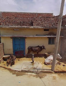 Ramgulam bigha