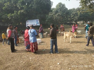 Malatipur Pasu Chikitsalaya