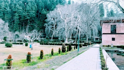MUGHAL GARDEN ACHABAL