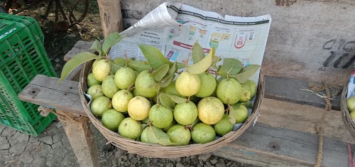 Nandghat , bemetara, Raipur to Bilaspur Mane road...