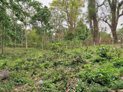 Eastern Dooars Elephant ? Reserve