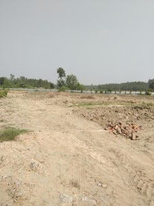 Shimala Pistore