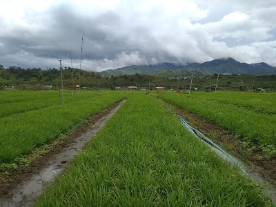 Moirang Kampu