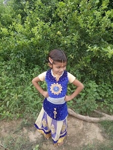 Sunari