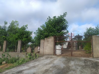 श्री देवनारायण भगवान