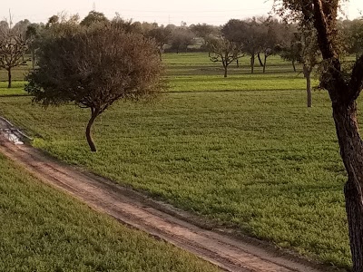 Mailasi