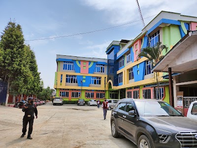 Millennium Institute of Science