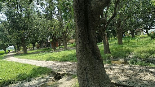 Baraipar ramroop