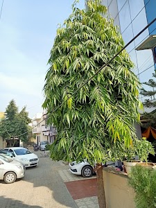 OYO 37782 Hotel Shree Mahakali Palace
