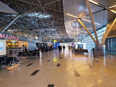Vnukovo International Airport