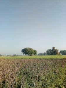 Milkinpur